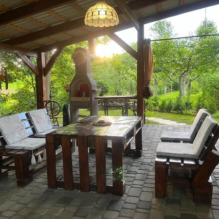 Hotel Окремий Будинок-Апартаменти Rakoshyno Εξωτερικό φωτογραφία