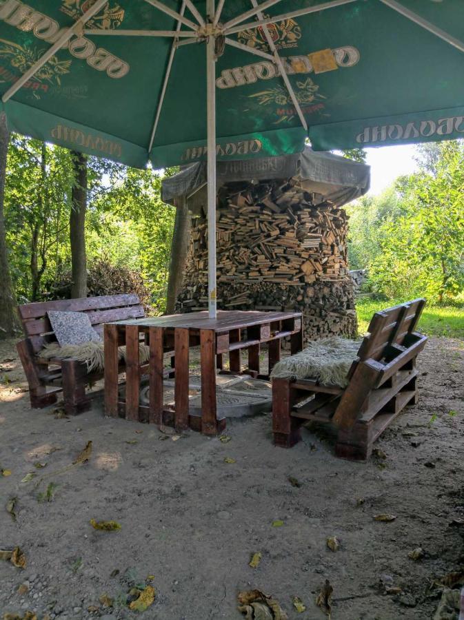 Hotel Окремий Будинок-Апартаменти Rakoshyno Εξωτερικό φωτογραφία