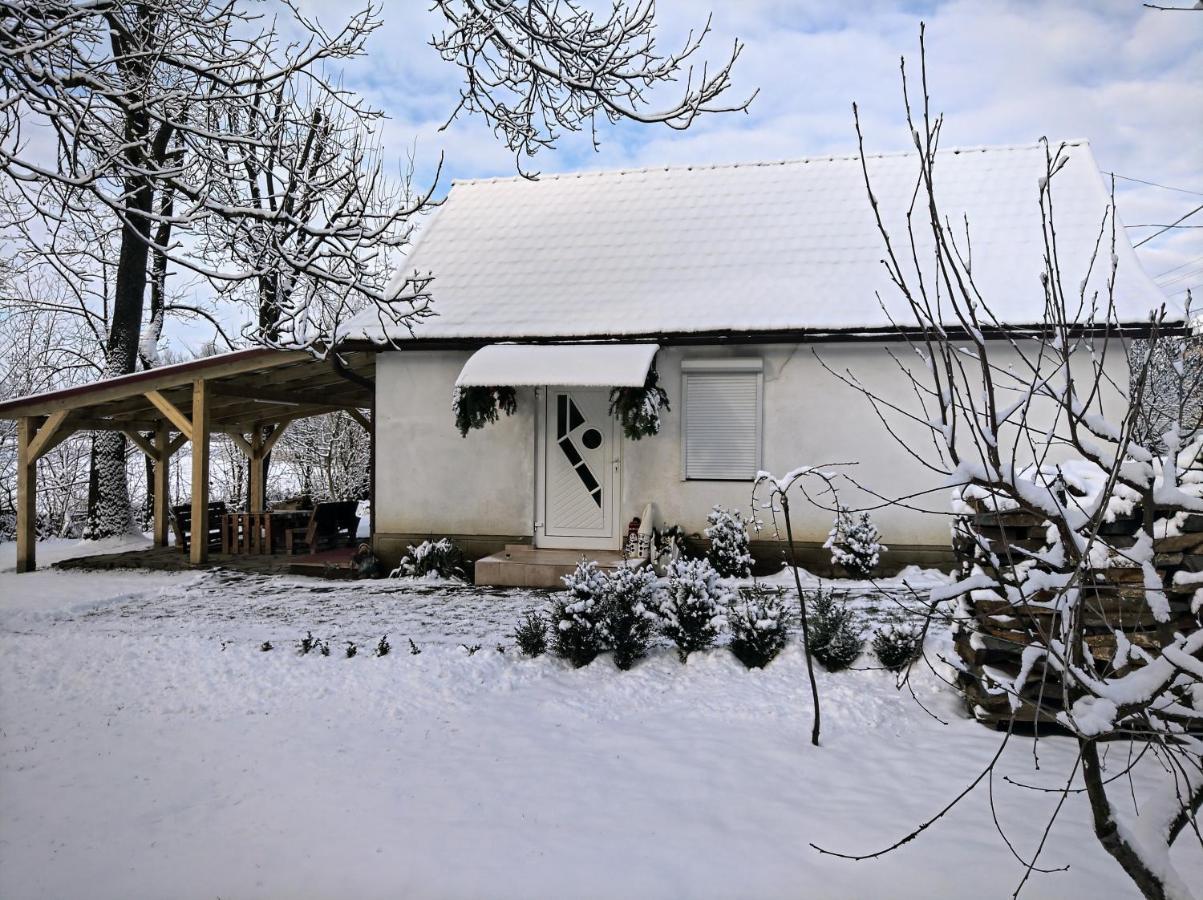 Hotel Окремий Будинок-Апартаменти Rakoshyno Εξωτερικό φωτογραφία