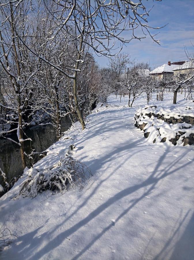 Hotel Окремий Будинок-Апартаменти Rakoshyno Εξωτερικό φωτογραφία
