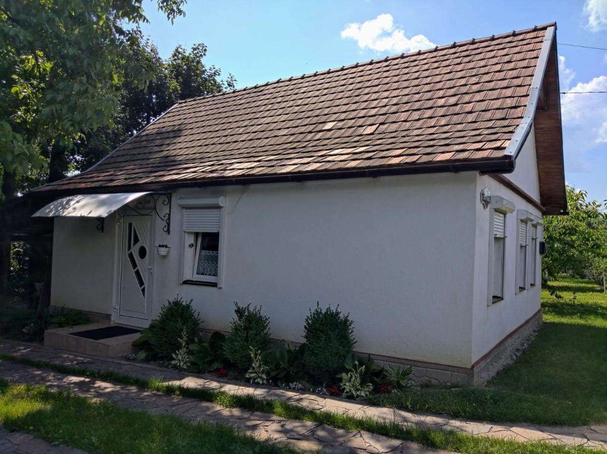 Hotel Окремий Будинок-Апартаменти Rakoshyno Εξωτερικό φωτογραφία