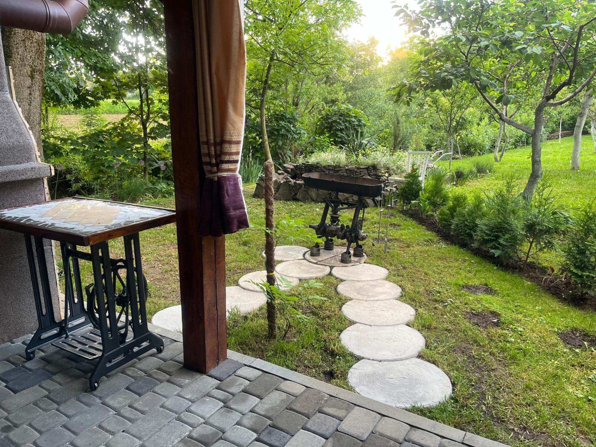 Hotel Окремий Будинок-Апартаменти Rakoshyno Εξωτερικό φωτογραφία